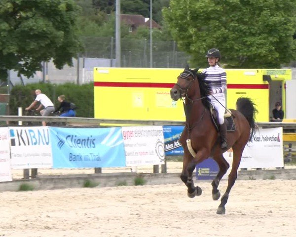 Reitturnier Balsthal 2025