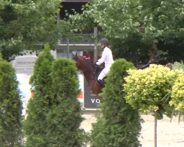 Reitturnier Balsthal 2025