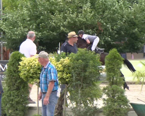Reitturnier Balsthal 2025