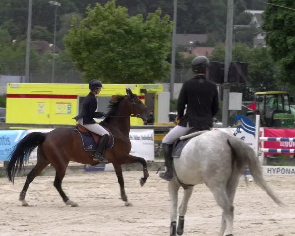 Reitturnier Balsthal 2025