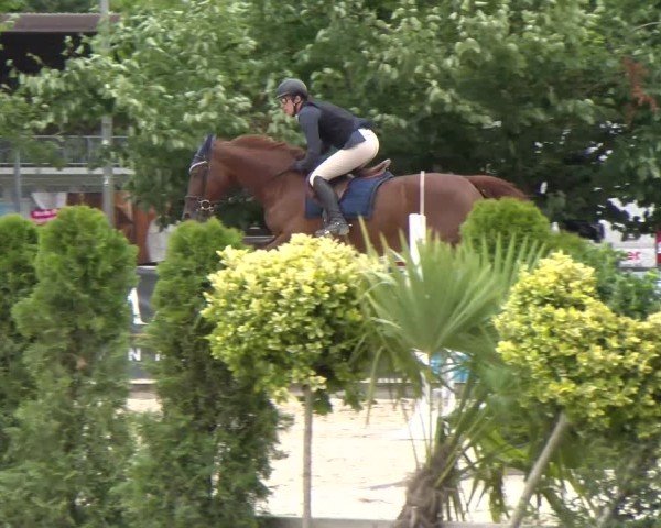 Reitturnier Balsthal 2025