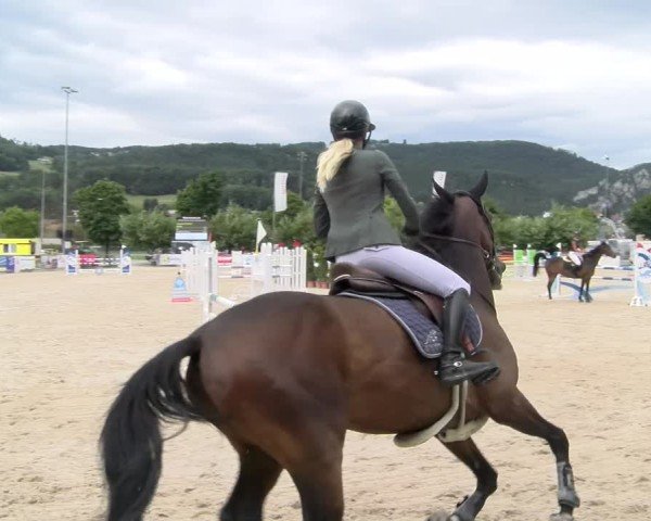Reitturnier Balsthal 2025
