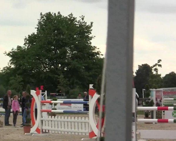 Großes Reit- und Springturnier Kirchhellen/Stall Dieckmann 2014