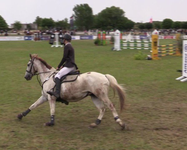 Reitturnier Dersekow 2025