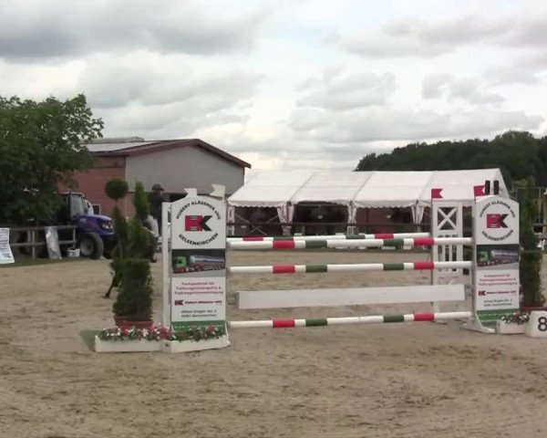 Großes Reit- und Springturnier Kirchhellen/Stall Dieckmann 2014