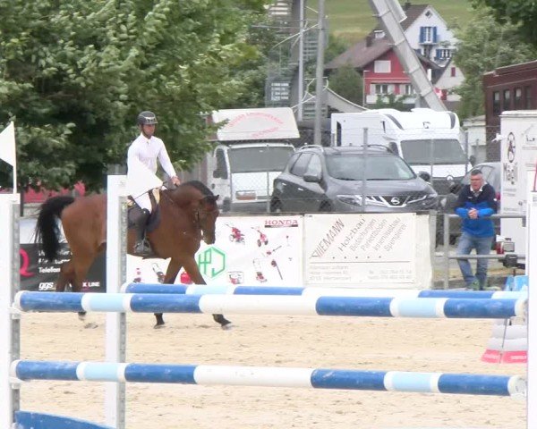 Reitturnier Balsthal 2025