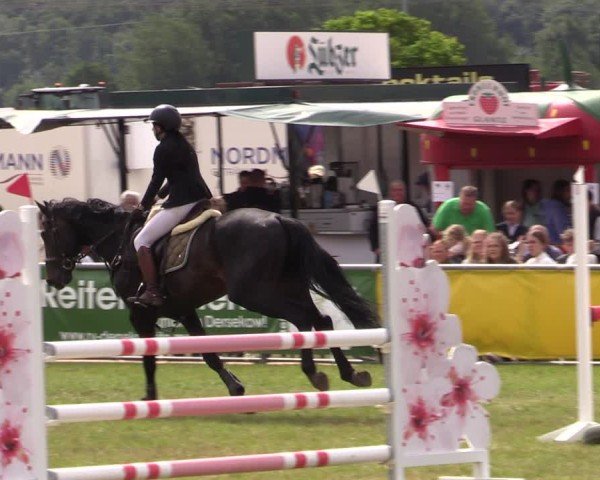 Reitturnier Dersekow 2025