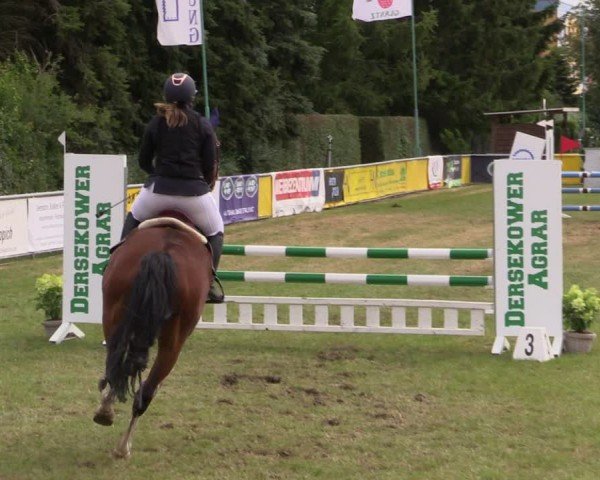 Reitturnier Dersekow 2025