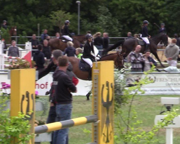 Reitturnier Dersekow 2025