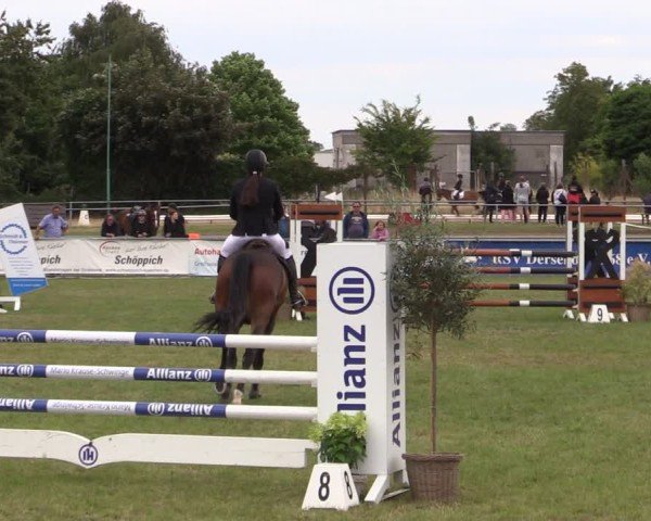 Reitturnier Dersekow 2025