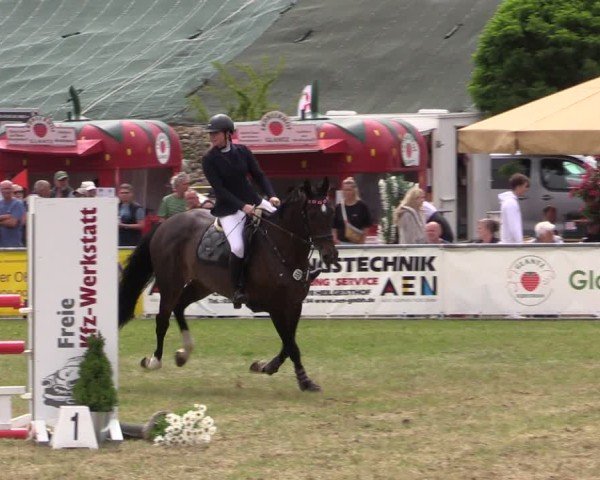 Reitturnier Dersekow 2025