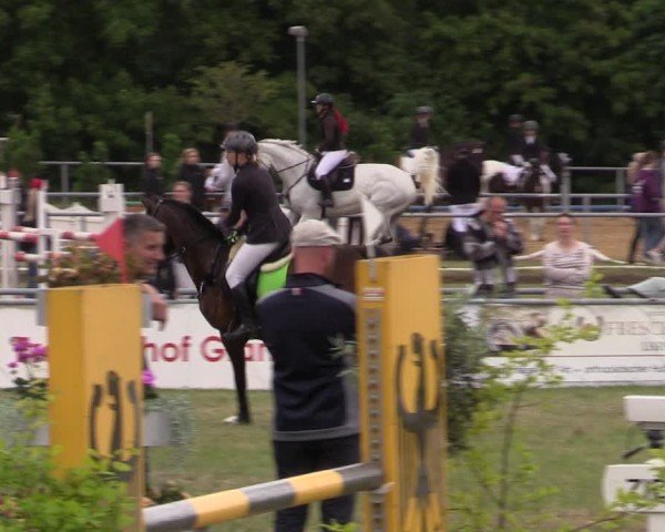 Reitturnier Dersekow 2025