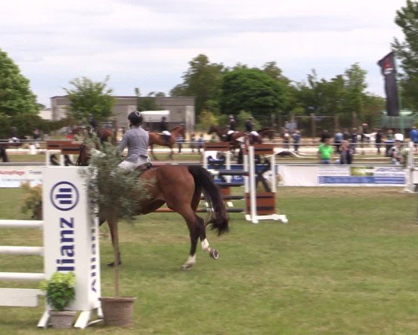 Reitturnier Dersekow 2025