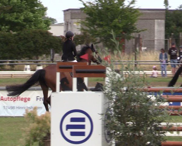 Reitturnier Dersekow 2025
