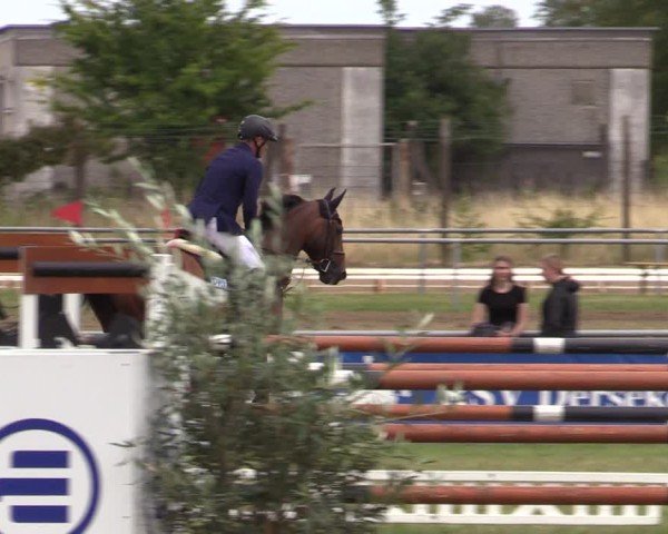Reitturnier Dersekow 2025