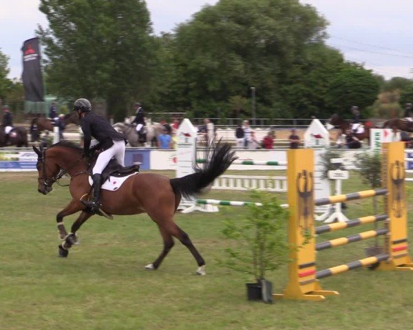 Reitturnier Dersekow 2025