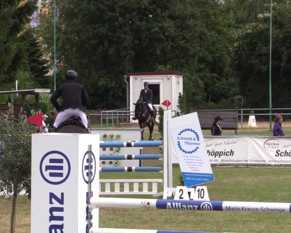 Reitturnier Dersekow 2025