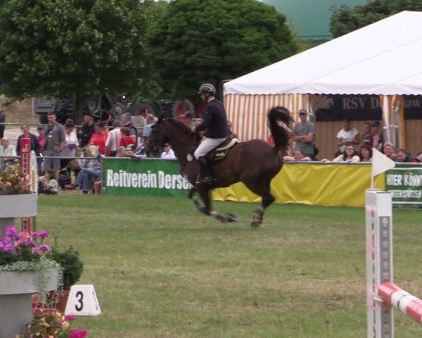 Reitturnier Dersekow 2025