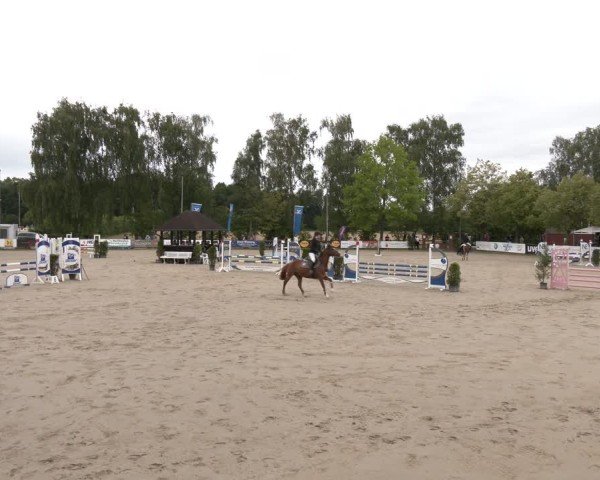 Reitturnier Münster-Roxel 2025
