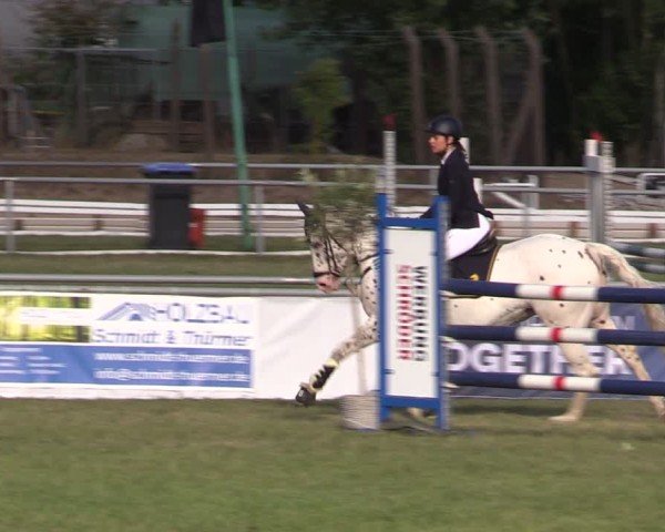 Reitturnier Dersekow 2025