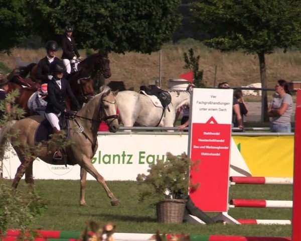 Reitturnier Dersekow 2025