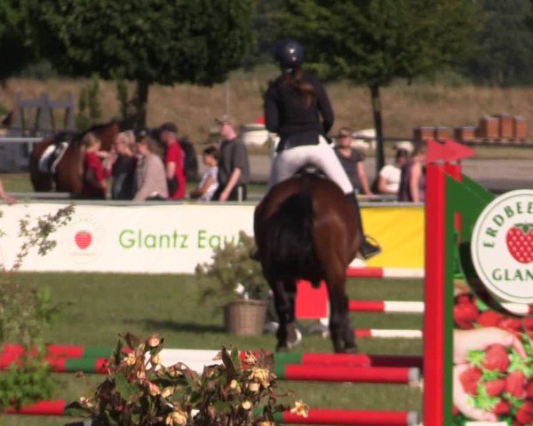 Reitturnier Dersekow 2025