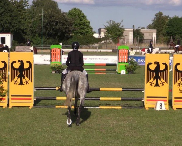 Reitturnier Dersekow 2025