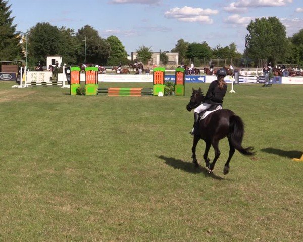 Reitturnier Dersekow 2025