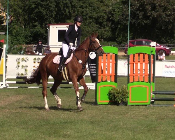 Reitturnier Dersekow 2025