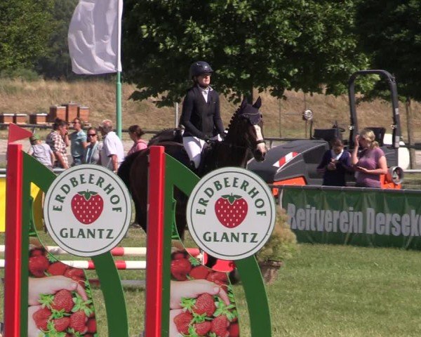 Reitturnier Dersekow 2025