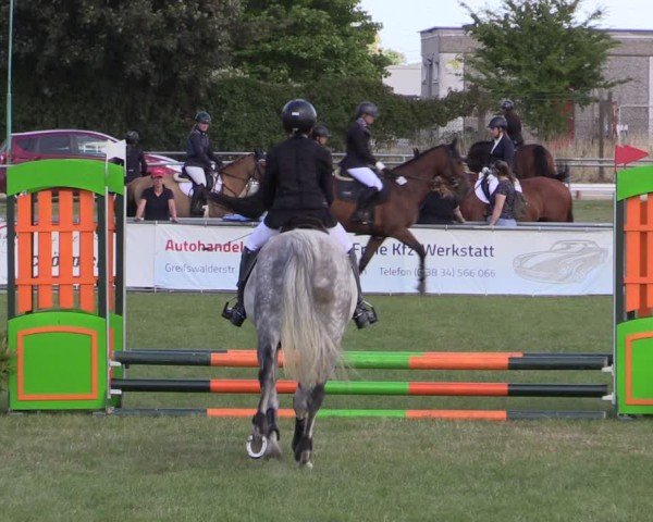 Reitturnier Dersekow 2025