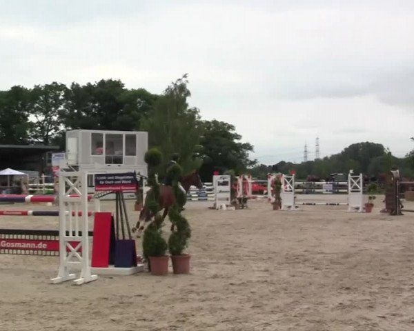 Großes Reit- und Springturnier Kirchhellen/Stall Dieckmann 2014