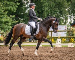 dressage horse Ninjago K.K. (German Riding Pony, 2020, from Nino)