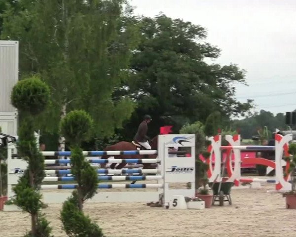 Großes Reit- und Springturnier Kirchhellen/Stall Dieckmann 2014
