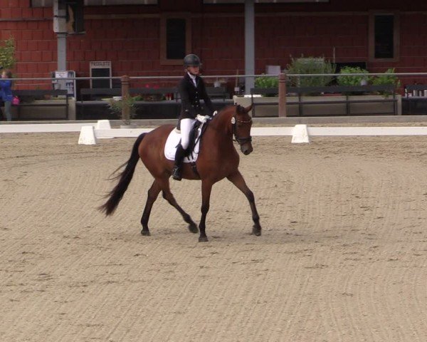Reitturnier Uder, Reitanlage Kobold 2025