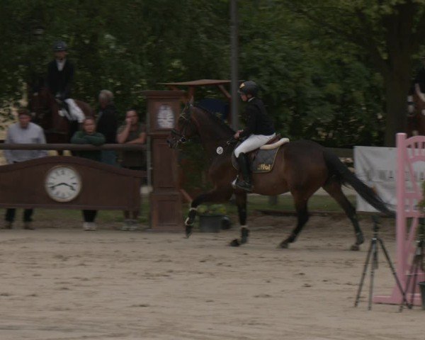Reitturnier Münster-Roxel 2025