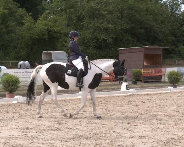 Reitturnier Heiligenwald 2025