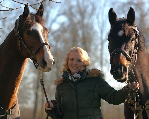 jumper Chiqetto (Holsteiner, 2019, from Casall Ask)