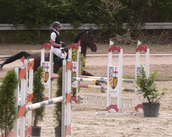 Reitturnier Heiligenwald 2025
