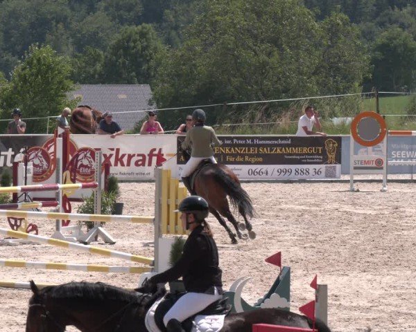 Springturnier Seewalchen 2025