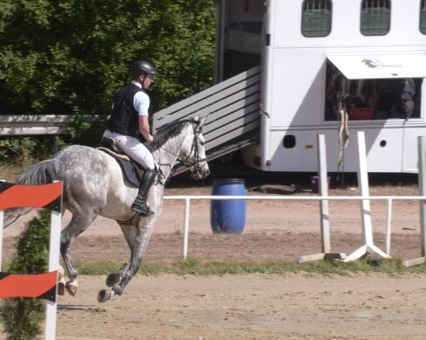 Reitturnier Heiligenwald 2025