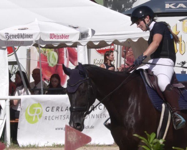 Reitturnier Heiligenwald 2025
