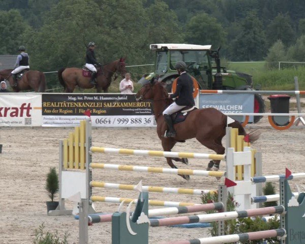 Springturnier Seewalchen 2025