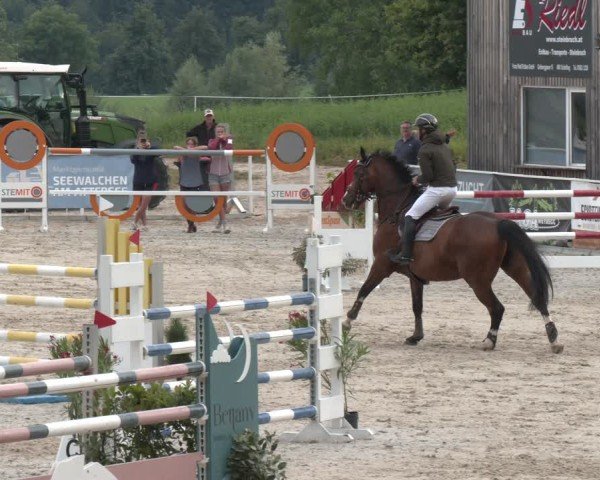 Springturnier Seewalchen 2025