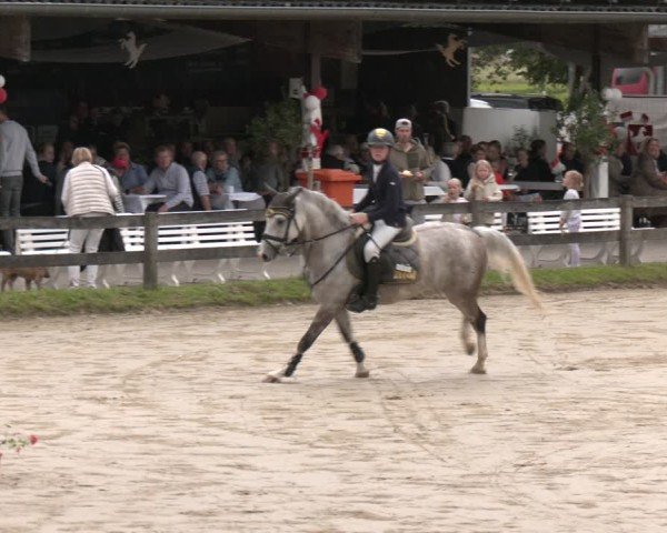 Reitturnier Münster-Roxel 2025