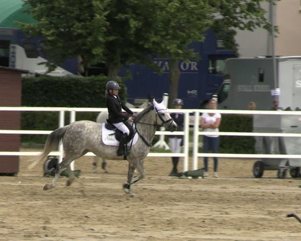 Reitturnier Neustadt/Dosse 2025