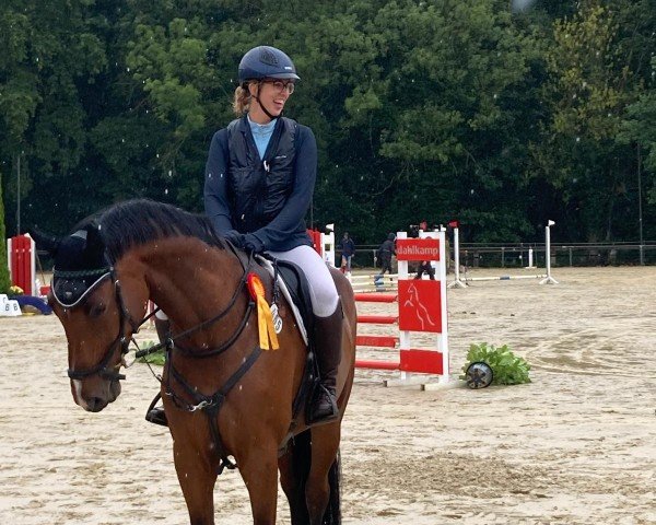 jumper Let's have fun 3 (Westphalian, 2019, from Larson)