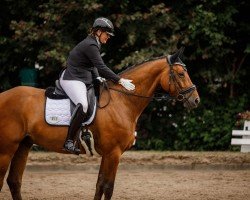 Dressurpferd Bekates Fourtyniner (Oldenburger, 2017, von For Dance)