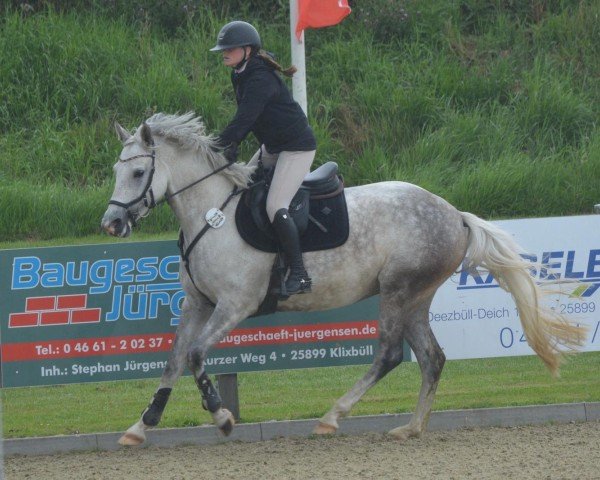 jumper Lütten Blue R (Holsteiner, 2018, from Catch)