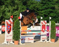 Springpferd Hulapalu (Westfale, 2017, von HICKSTEAD WHITE)